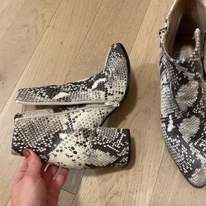 Steve Madden snake print booties! Size 7! Great condition!!!